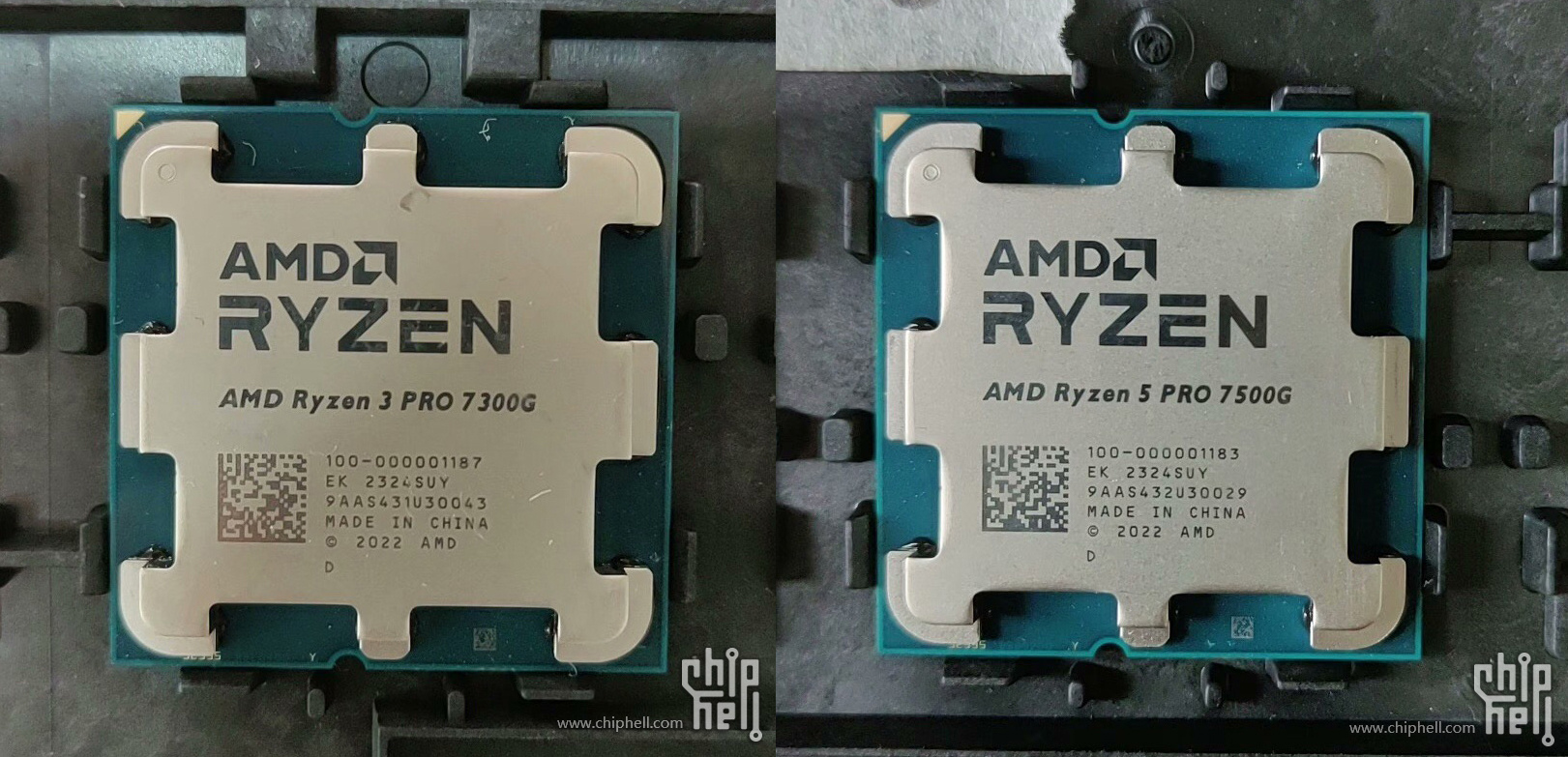 Processadores Ryzen 5 Pro 7500G e Ryzen 3 Pro 7300G da AMD